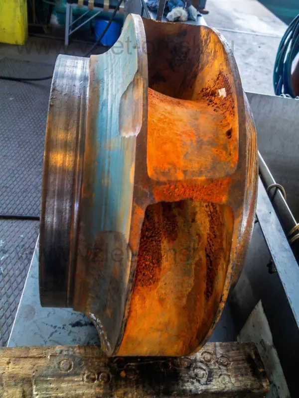 rabochee koleso 1