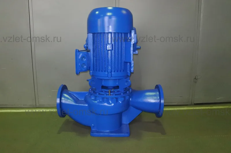 Насос Иртыш ЦМЛ 250/400.419-132/4-300