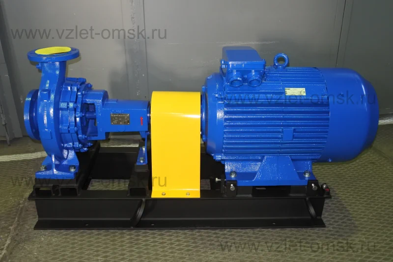Насос Иртыш ЦНК 100/250.245.Ч-75/2-400