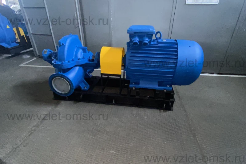 Насос наружный серии Иртыш ЦНД 250/455.455-315/4-400